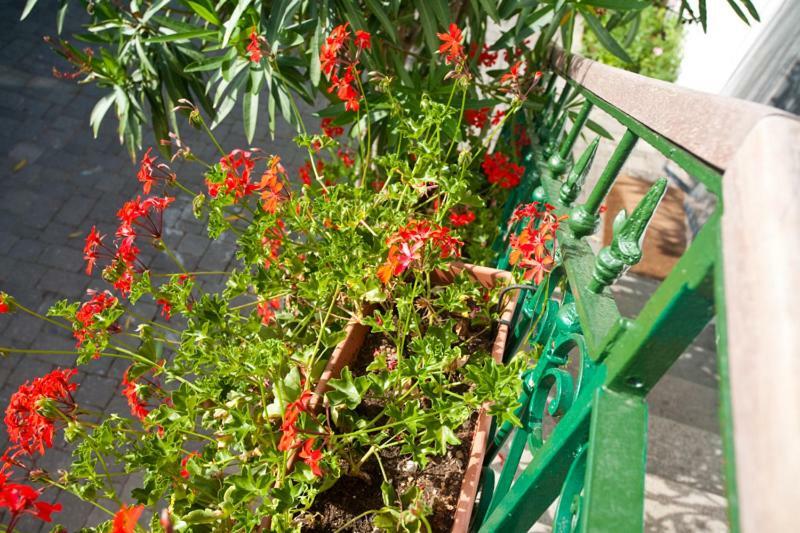 Pape Punat Apartmani I Sobe Zewnętrze zdjęcie